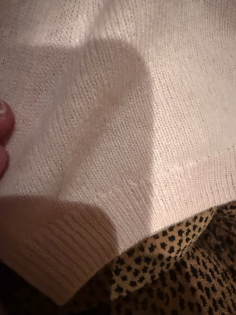 Quince Cashmere Tee - Picture 5 of 5